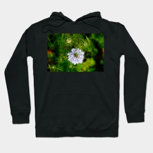 Blue Nigella Flower Hoodie